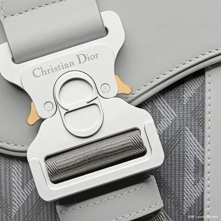 Cheap Canvas Saddle CD Dior Motif Grey Diamond Crossbody 0328 Luxury